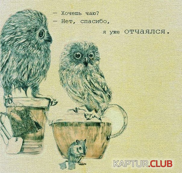 podborka_vecher_07.jpg | Рено Каптур Клуб Россия | Форум KAPTUR.SU