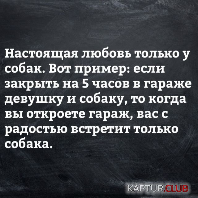 podborka_vecher_07.jpg | Рено Каптур Клуб Россия | Форум KAPTUR.SU
