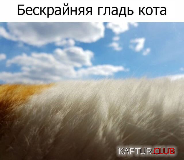 podborka_vecher_07.jpg | Рено Каптур Клуб Россия | Форум KAPTUR.SU