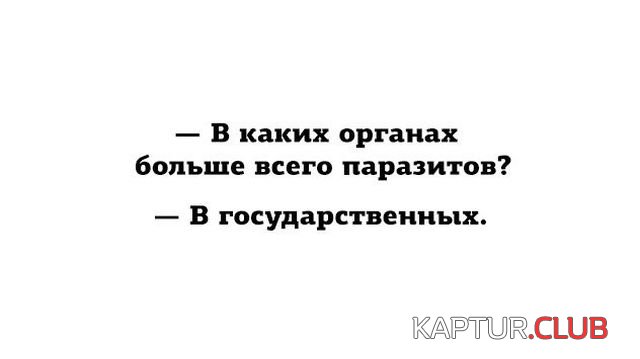 podborka_vecher_09.jpg | Рено Каптур Клуб Россия | Форум KAPTUR.SU