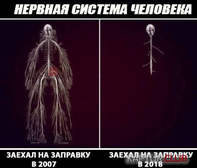 podborka_vecher_09.jpg | Рено Каптур Клуб Россия | Форум KAPTUR.SU