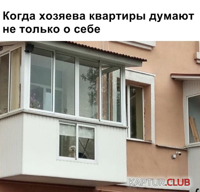 podborka_vecher_09.jpg | Рено Каптур Клуб Россия | Форум KAPTUR.SU
