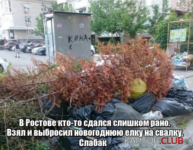 podborka_vecher_09.jpg | Рено Каптур Клуб Россия | Форум KAPTUR.SU