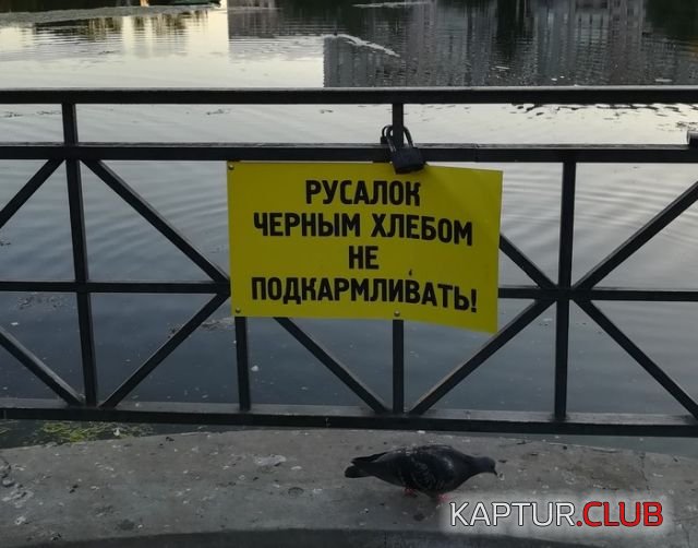 podborka_vecher_10.jpg | Рено Каптур Клуб Россия | Форум KAPTUR.SU