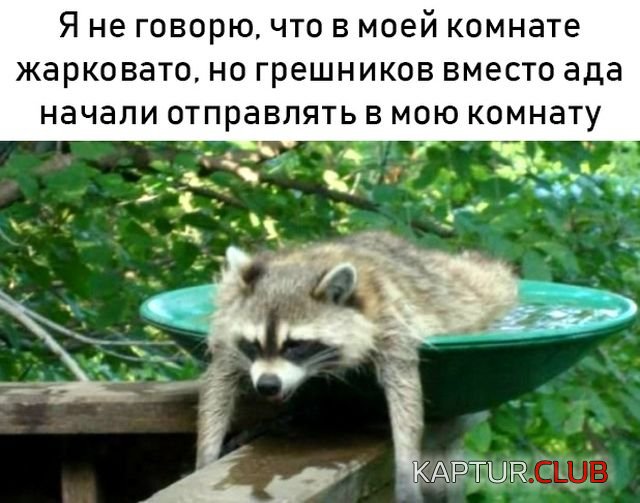 podborka_vecher_10.jpg | Рено Каптур Клуб Россия | Форум KAPTUR.SU