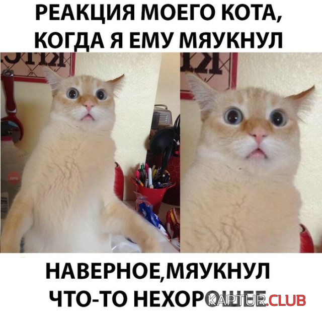 podborka_vecher_10.jpg | Рено Каптур Клуб Россия | Форум KAPTUR.SU