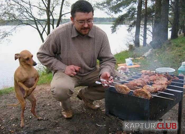 podborka_vecher_11.jpg | Рено Каптур Клуб Россия | Форум KAPTUR.SU