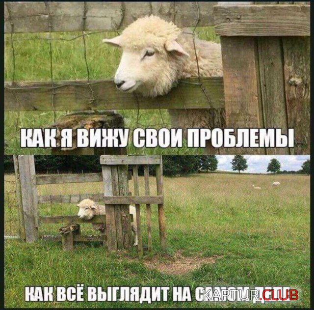 podborka_vecher_11.jpg | Рено Каптур Клуб Россия | Форум KAPTUR.SU