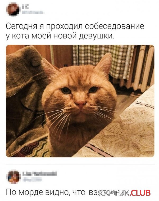 podborka_vecher_11.jpg | Рено Каптур Клуб Россия | Форум KAPTUR.SU