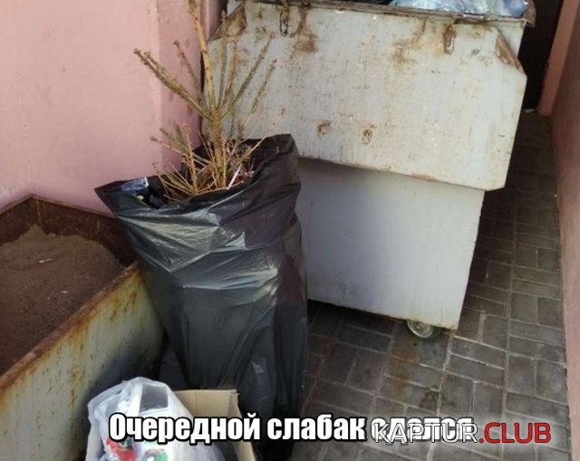 podborka_vecher_11.jpg | Рено Каптур Клуб Россия | Форум KAPTUR.SU
