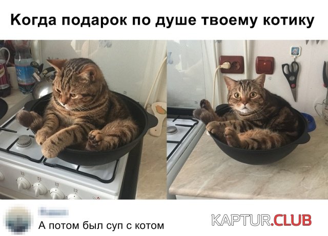 podborka_vecher_11.jpg | Рено Каптур Клуб Россия | Форум KAPTUR.SU