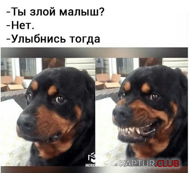 podborka_vecher_12.jpg | Рено Каптур Клуб Россия | Форум KAPTUR.SU