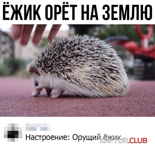 podborka_vecher_12.jpg | Рено Каптур Клуб Россия | Форум KAPTUR.SU