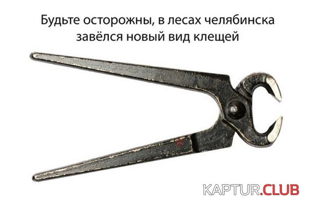 podborka_vecher_13.jpg | Рено Каптур Клуб Россия | Форум KAPTUR.SU