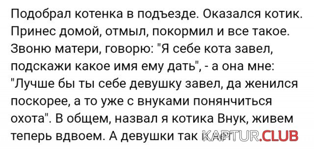podborka_vecher_14.jpg | Рено Каптур Клуб Россия | Форум KAPTUR.SU