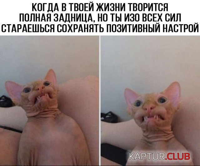 podborka_vecher_14.jpg | Рено Каптур Клуб Россия | Форум KAPTUR.SU