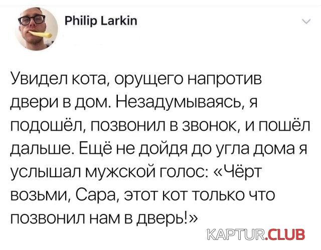 podborka_vecher_15.jpg | Рено Каптур Клуб Россия | Форум KAPTUR.SU