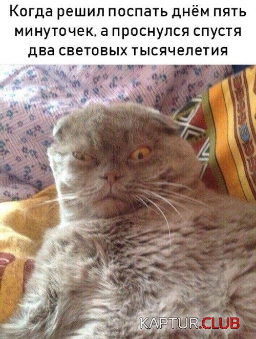 podborka_vecher_15.jpg | Рено Каптур Клуб Россия | Форум KAPTUR.SU