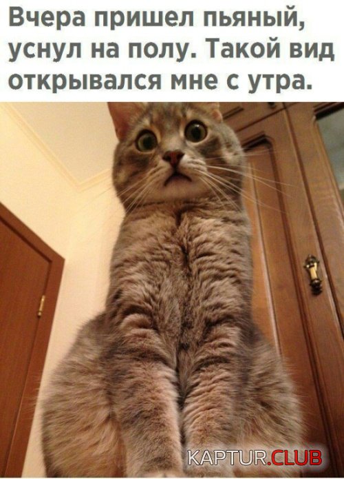 podborka_vecher_15.jpg | Рено Каптур Клуб Россия | Форум KAPTUR.SU