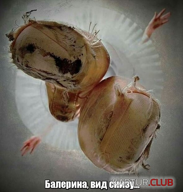 podborka_vecher_16.jpg | Рено Каптур Клуб Россия | Форум KAPTUR.SU