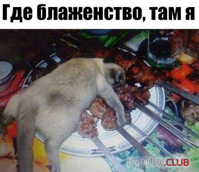 podborka_vecher_16.jpg | Рено Каптур Клуб Россия | Форум KAPTUR.SU