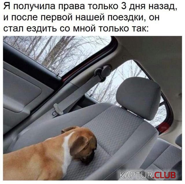 podborka_vecher_17.jpg | Рено Каптур Клуб Россия | Форум KAPTUR.SU