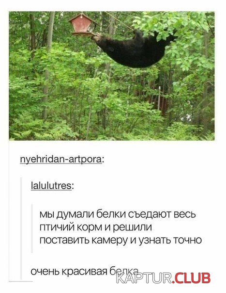 podborka_vecher_17.jpg | Рено Каптур Клуб Россия | Форум KAPTUR.SU