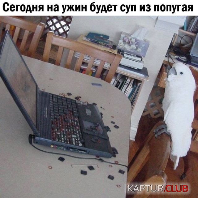 podborka_vecher_17.jpg | Рено Каптур Клуб Россия | Форум KAPTUR.SU