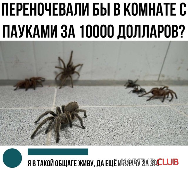 podborka_vecher_17.jpg | Рено Каптур Клуб Россия | Форум KAPTUR.SU