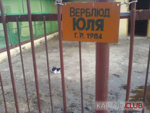 podborka_vecher_17.jpg | Рено Каптур Клуб Россия | Форум KAPTUR.SU