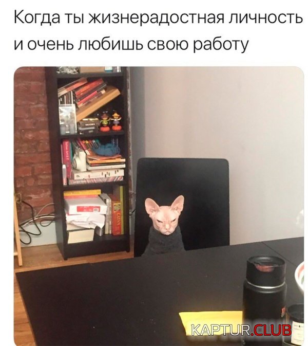 podborka_vecher_19.jpg | Рено Каптур Клуб Россия | Форум KAPTUR.SU
