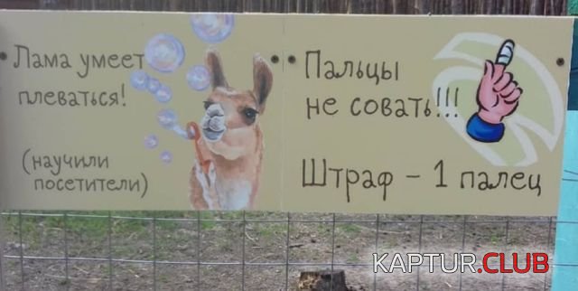podborka_vecher_20.jpg | Рено Каптур Клуб Россия | Форум KAPTUR.SU
