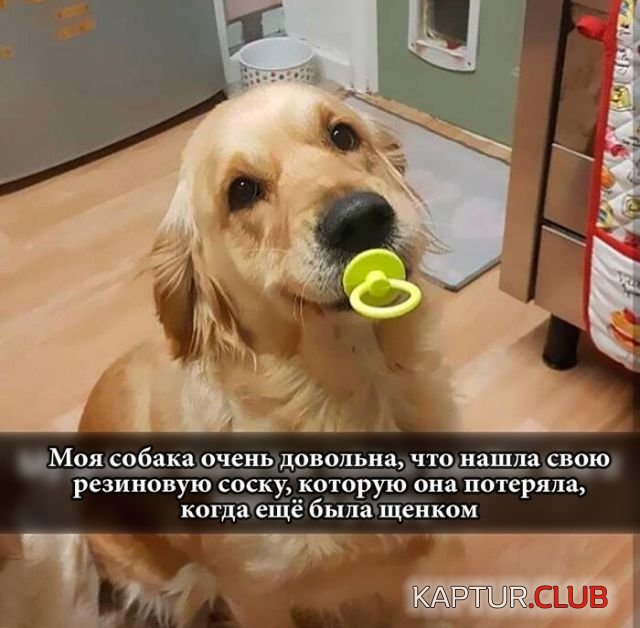podborka_vecher_20.jpg | Рено Каптур Клуб Россия | Форум KAPTUR.SU