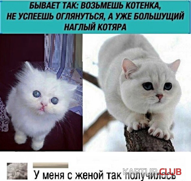 podborka_vecher_20.jpg | Рено Каптур Клуб Россия | Форум KAPTUR.SU
