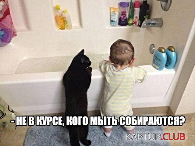 podborka_vecher_20.jpg | Рено Каптур Клуб Россия | Форум KAPTUR.SU