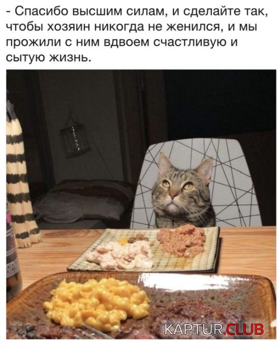 podborka_vecher_22.jpg | Рено Каптур Клуб Россия | Форум KAPTUR.SU
