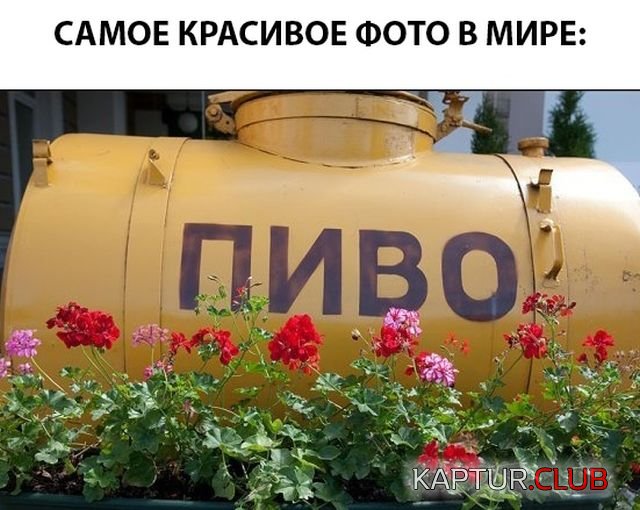 podborka_vecher_22.jpg | Рено Каптур Клуб Россия | Форум KAPTUR.SU