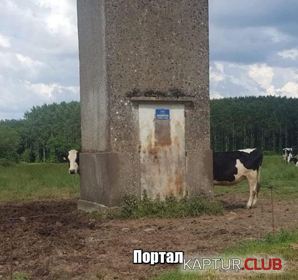 podborka_vecher_23.jpg | Рено Каптур Клуб Россия | Форум KAPTUR.SU