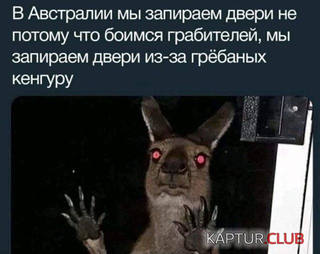 podborka_vecher_23.jpg | Рено Каптур Клуб Россия | Форум KAPTUR.SU