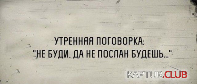 podborka_vecher_24.jpg | Рено Каптур Клуб Россия | Форум KAPTUR.SU