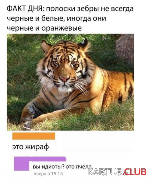 podborka_vecher_24.jpg | Рено Каптур Клуб Россия | Форум KAPTUR.SU