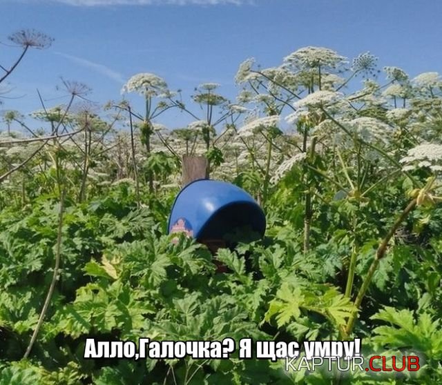 podborka_vecher_24.jpg | Рено Каптур Клуб Россия | Форум KAPTUR.SU