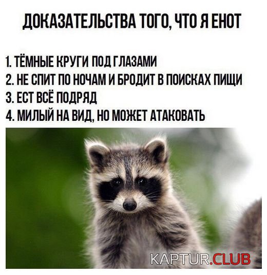 podborka_vecher_25.jpg | Рено Каптур Клуб Россия | Форум KAPTUR.SU