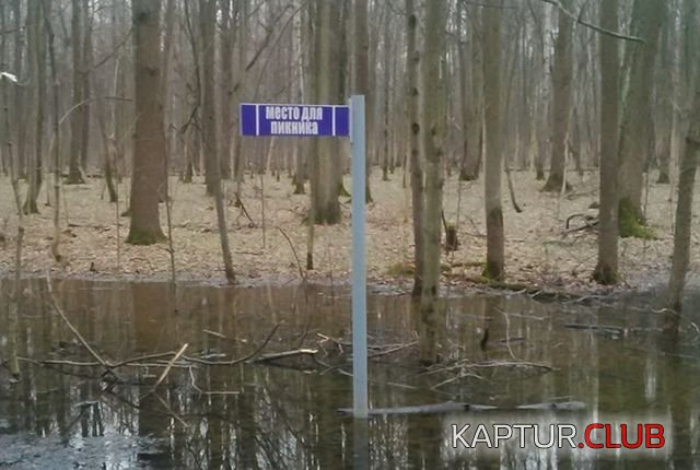 podborka_vecher_25.jpg | Рено Каптур Клуб Россия | Форум KAPTUR.SU