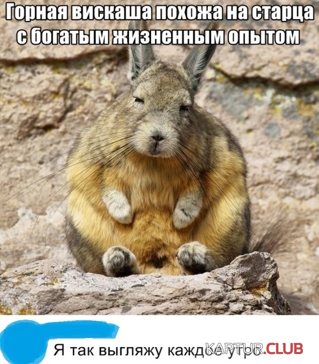 podborka_vecher_27.jpg | Рено Каптур Клуб Россия | Форум KAPTUR.SU