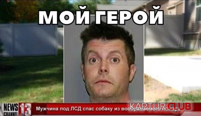 podborka_vecher_35.jpg | Рено Каптур Клуб Россия | Форум KAPTUR.SU
