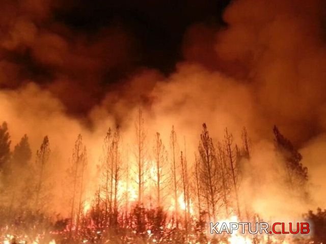 pojari_01.jpg | Рено Каптур Клуб Россия | Форум KAPTUR.SU