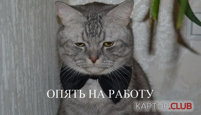 pora_na_rabotu_09.jpg | Рено Каптур Клуб Россия | Форум KAPTUR.SU
