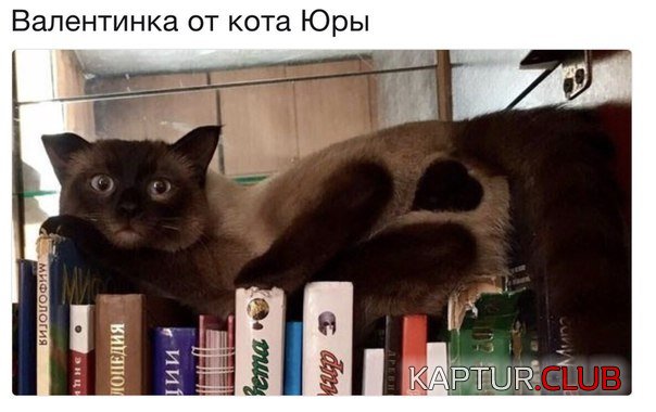 PPTE8bX7wxY.jpg | Рено Каптур Клуб Россия | Форум KAPTUR.SU