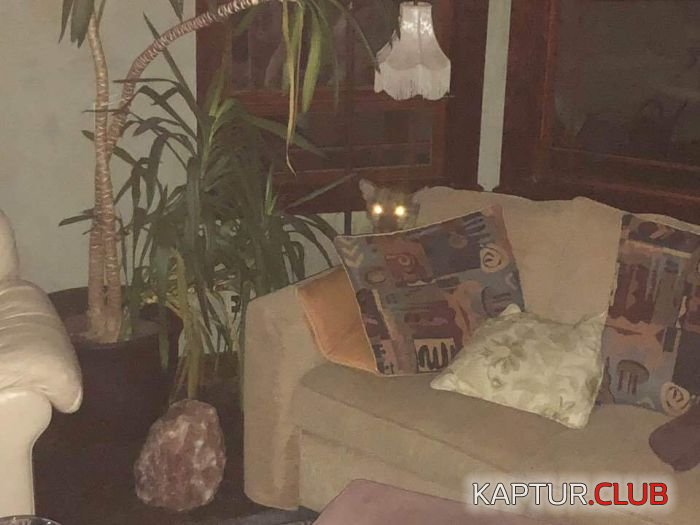 predator_01.jpg | Рено Каптур Клуб Россия | Форум KAPTUR.SU